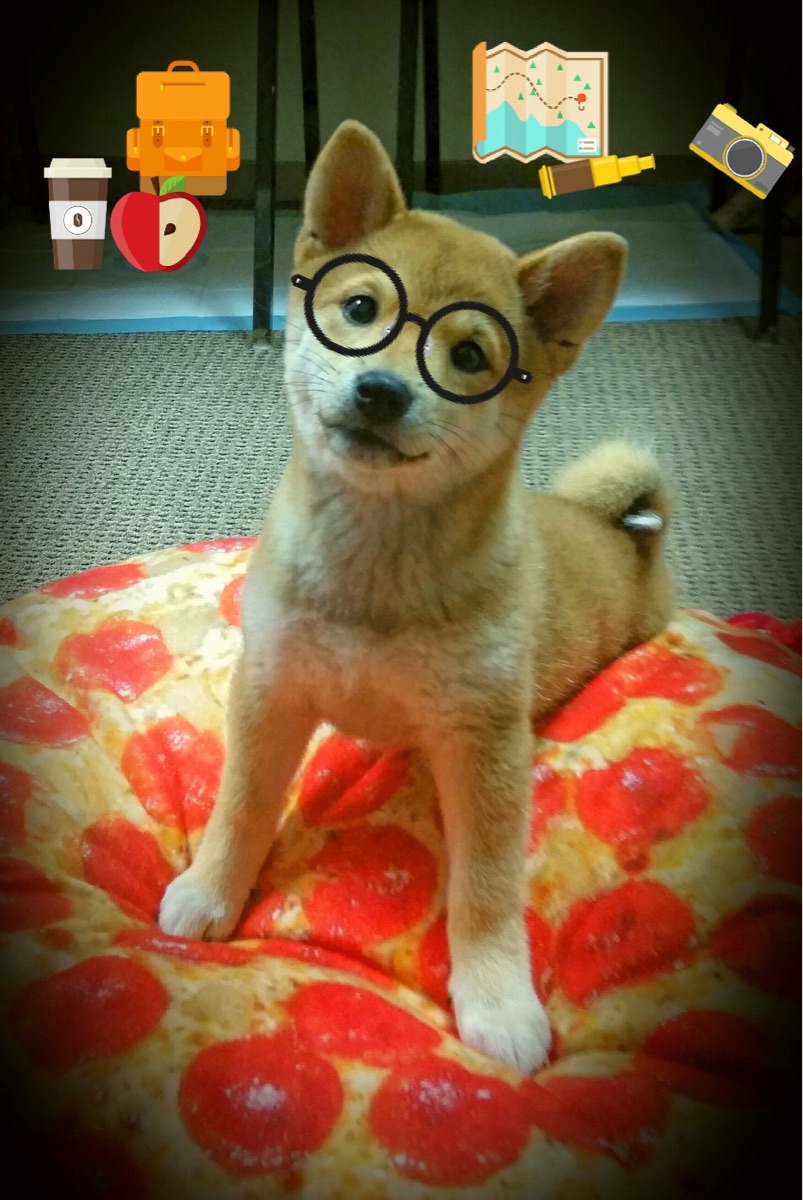 舞台越大,光芒越盛,阿什拉夫在加拿大对阵拜仁的梦幻对决中定义伟大