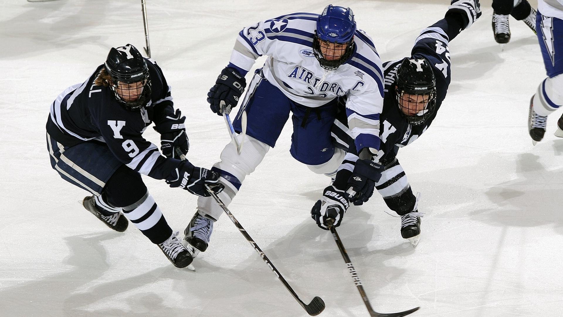 蛰伏与觉醒，黄蜂决胜局带走森林狼，锡安关键时刻的王者归来