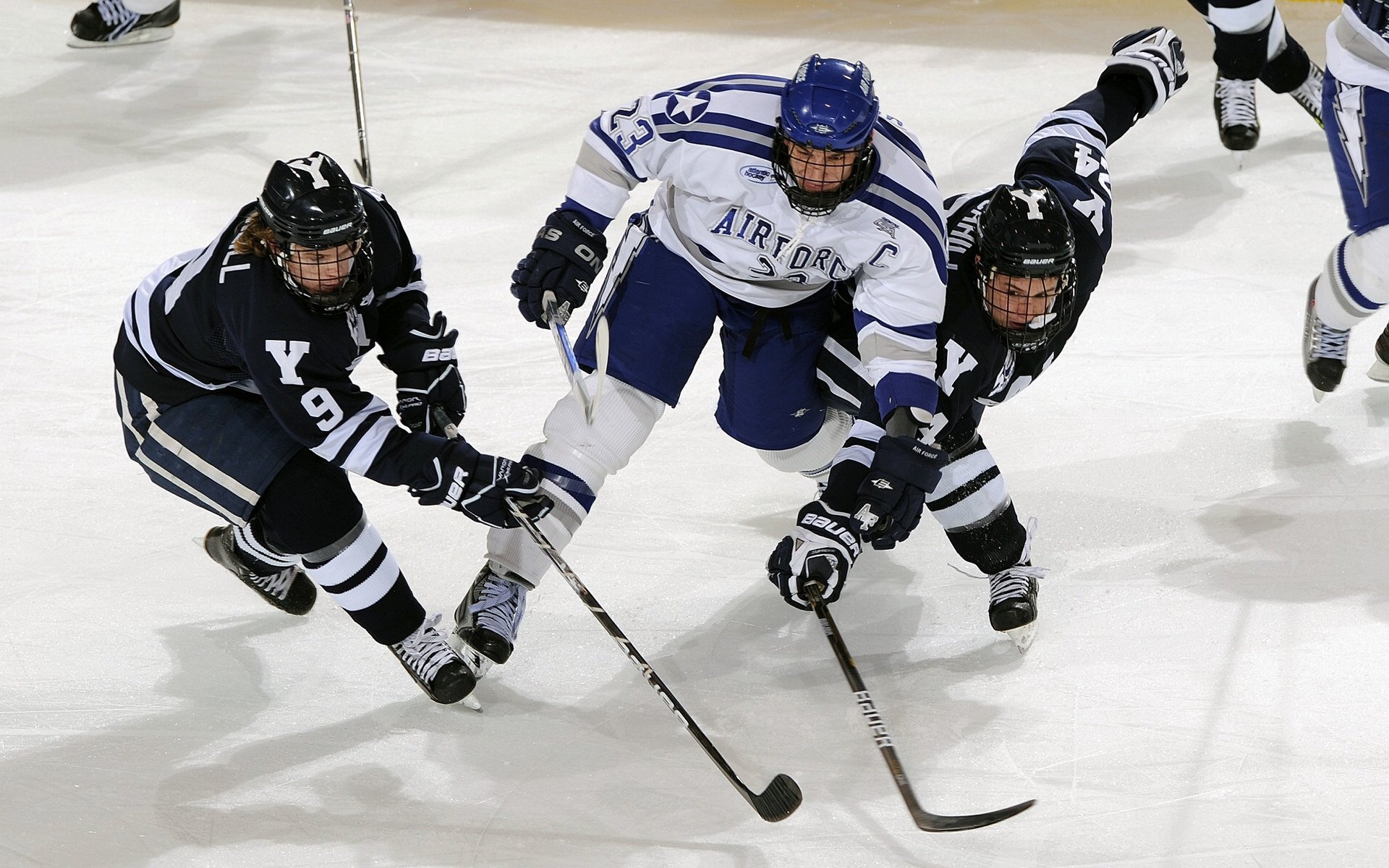 当王权跨越疆界，从国王打穿勇士到锡安在美加墨世界杯的统治时刻