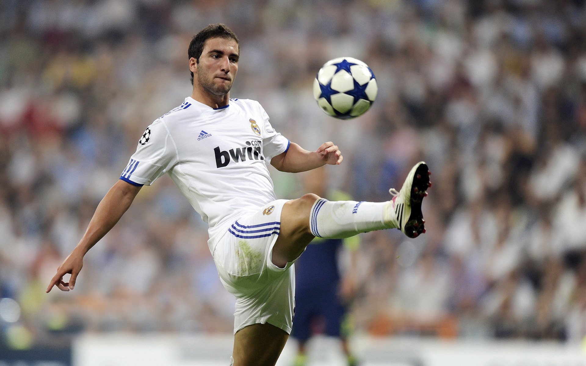 赛道上的红牛内战,二队鏖战一队,汉密尔顿横空夺目