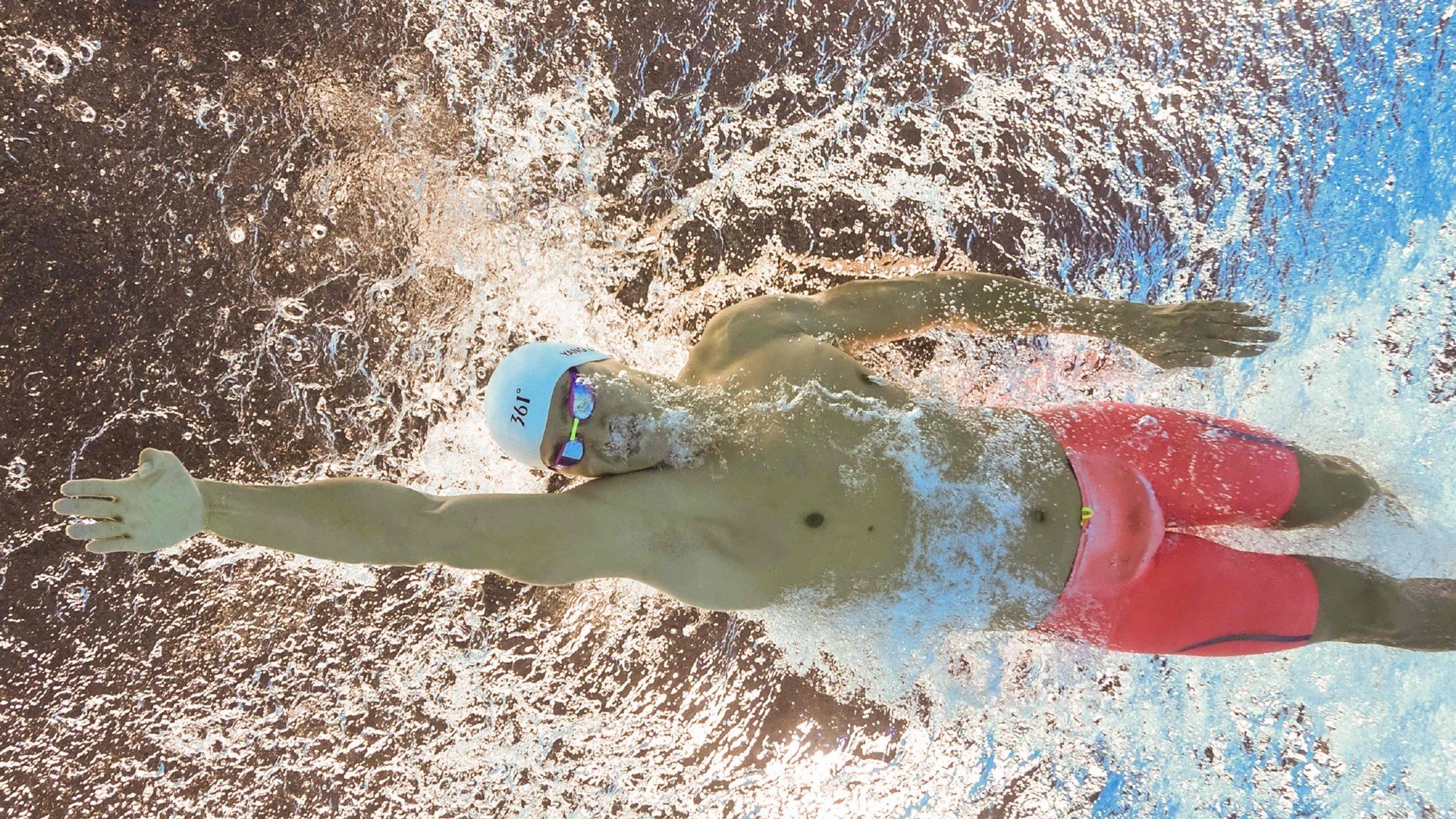 当东方之刃闪耀欧洲赛场,张本智和的高光与英格兰队横扫波兰的启示